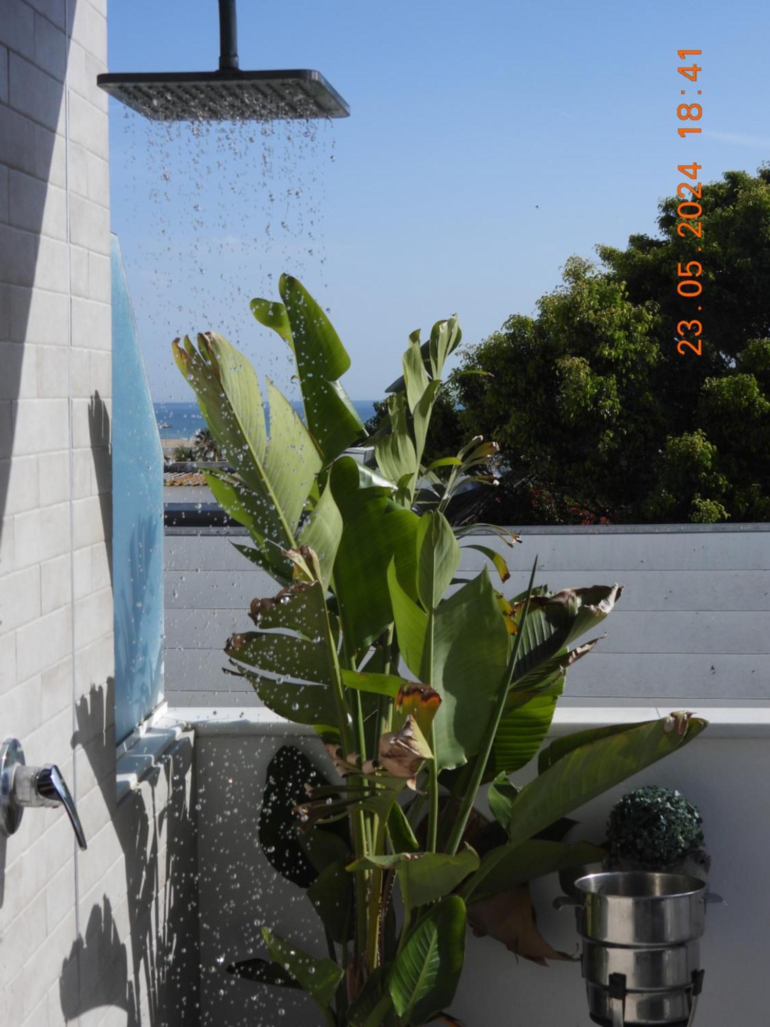 Appartement Aba Penthouse, Piscina&Azotea Privada à Conil De La Frontera Extérieur photo